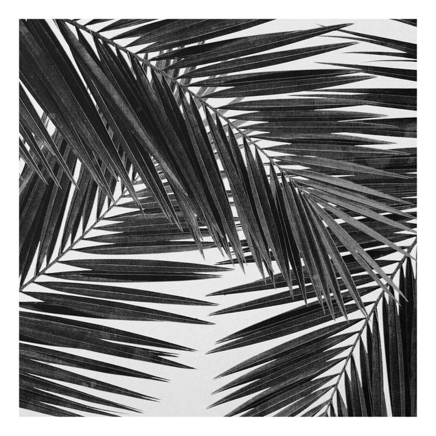 Wanddeko Tropisch Blick durch Palmenblätter schwarz weiß
