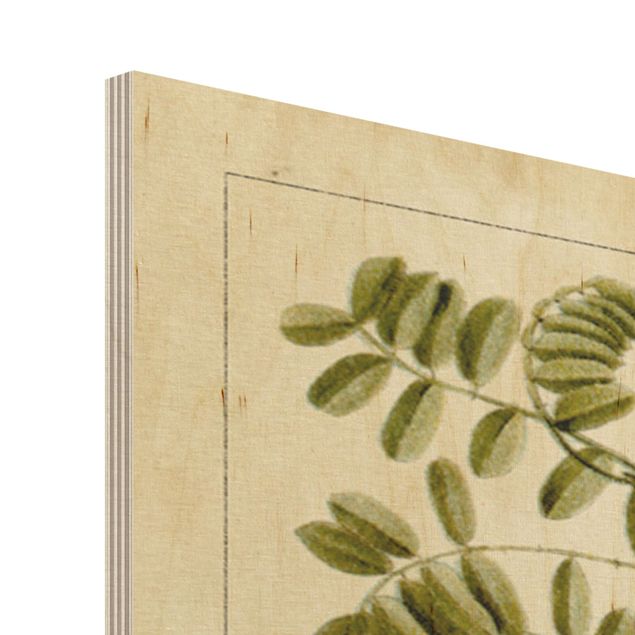 Wanddeko grün Vintage Lehrtafel Tropische Botanik I