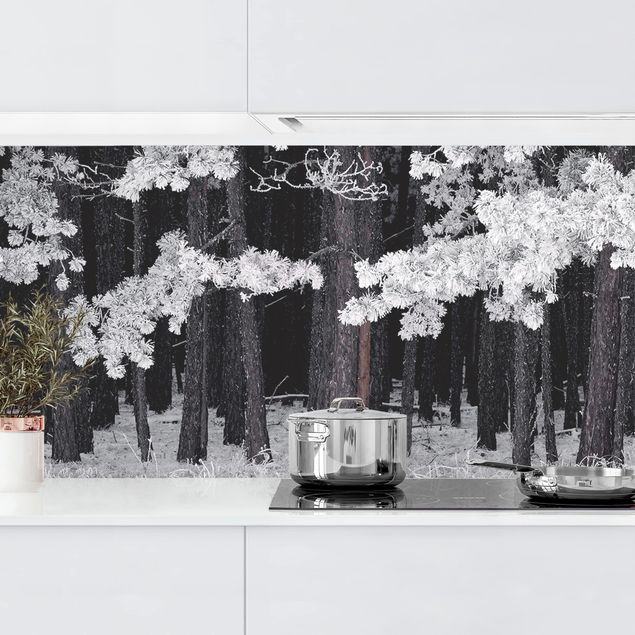 Wanddeko Küche Wald mit Raureif in Österreich