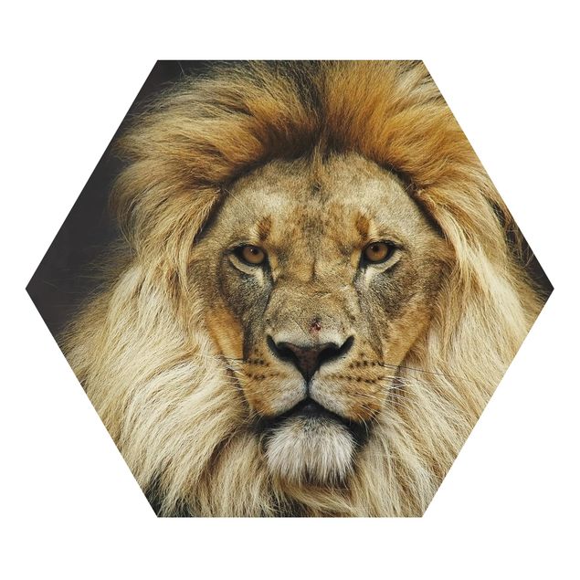 Wanddeko Büro Wisdom of Lion