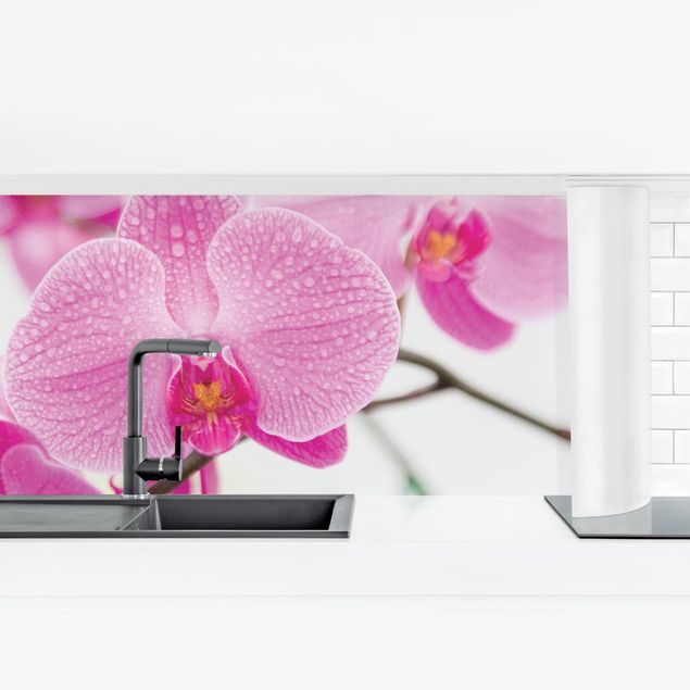 Küchenrückwand Folie Blumen Nahaufnahme Orchidee