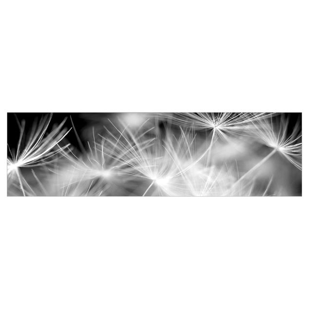 selbstklebende Klebefolie Bewegte Pusteblumen Nahaufnahme auf schwarzem Hintergrund