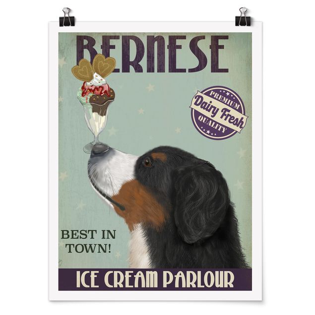 Wandbilder Hunde Berner Sennenhund mit Eis