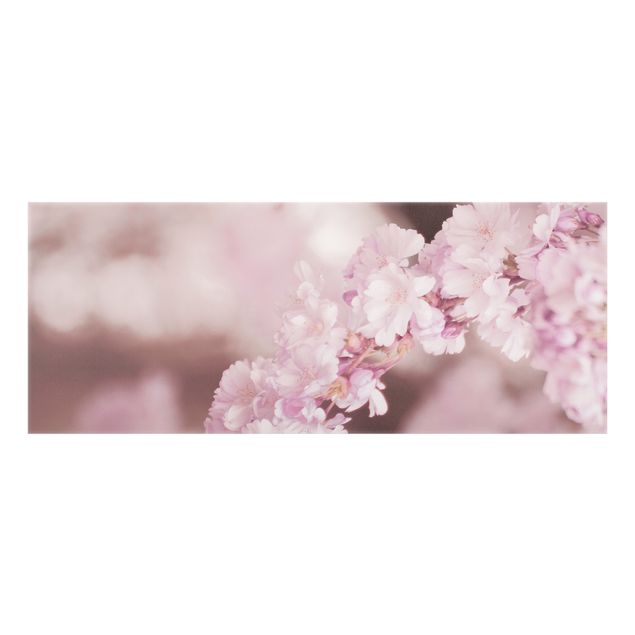 Wanddeko Fotografie Kirschblüte im Violetten Licht