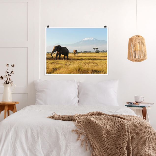 Wanddeko Schlafzimmer Elefanten vor dem Kilimanjaro in Kenia