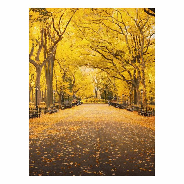 Wandbilder New York Herbst im Central Park