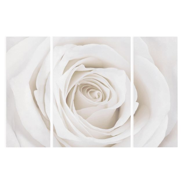 Wanddeko Flur Pretty White Rose