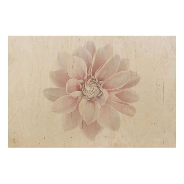 Wanddeko Schlafzimmer Dahlie Blume Pastell Weiß Rosa