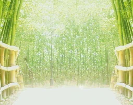 Wanddeko Gäste WC Bamboo Way