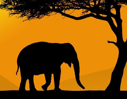 Wanddeko Gäste WC African Elefant Walk