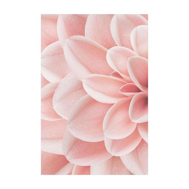 Wanddeko rosa Dahlie Rosa Blütenblätter Detail