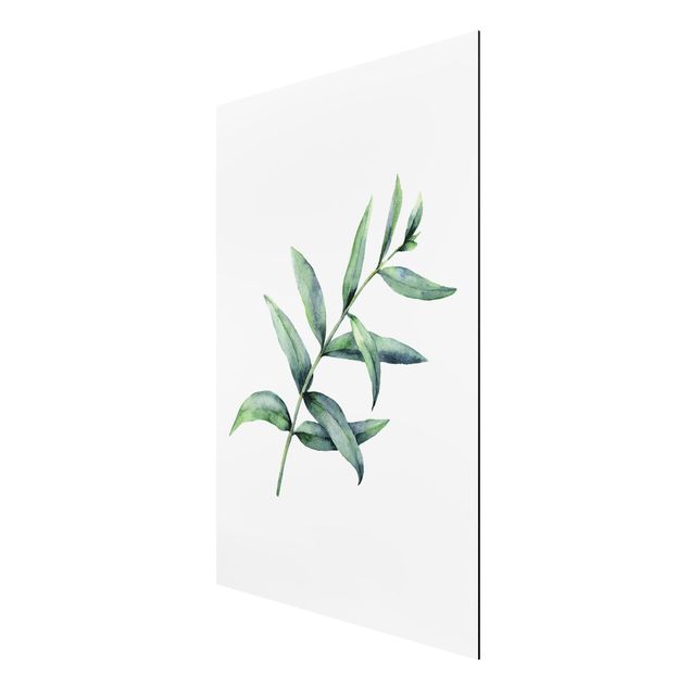 Wanddeko Esszimmer Aquarell Eucalyptus I