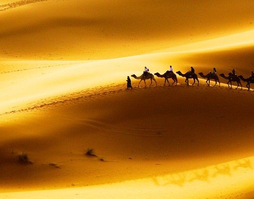 Wanddeko Landschaft Golden Dunes