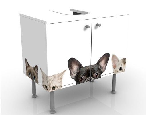 Wanddeko Büro Katzen mit Hundeblick