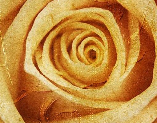 Wanddeko Rose Vintage Rose