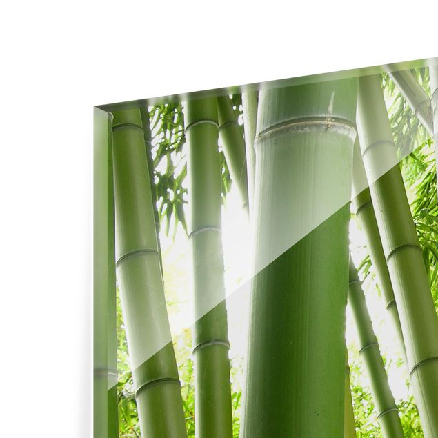 Glasrückwand Küche Blumen Bamboo Trees