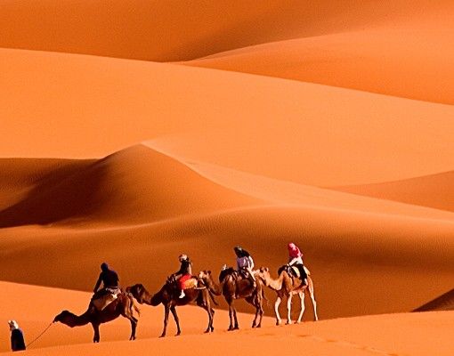 Wanddeko Gäste WC Namib Desert