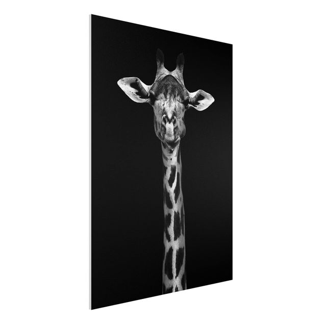 Wanddeko Schlafzimmer Dunkles Giraffen Portrait