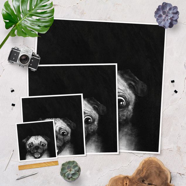 Wanddeko Jugendzimmer Illustration Hund Mops Malerei auf Schwarz Weiß