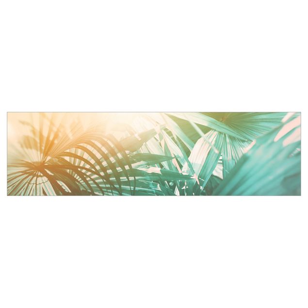 Wanddeko Fotografie Tropische Pflanzen Palmen bei Sonnenuntergang