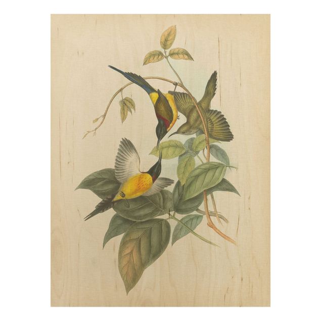 Wanddeko Flur Vintage Illustration Tropische Vögel IV