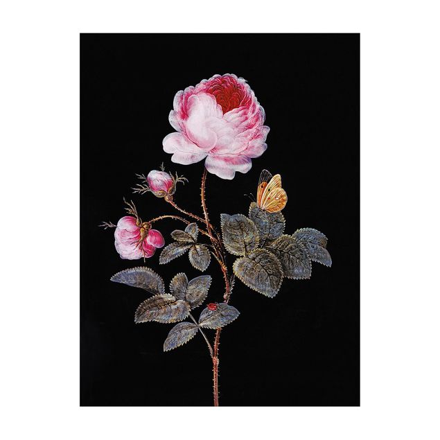 Wanddeko rosa Barbara Regina Dietzsch - Die hundertblättrige Rose