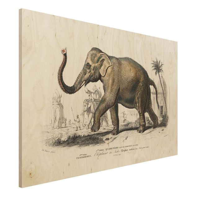 Wanddeko braun Vintage Lehrtafel Elefant