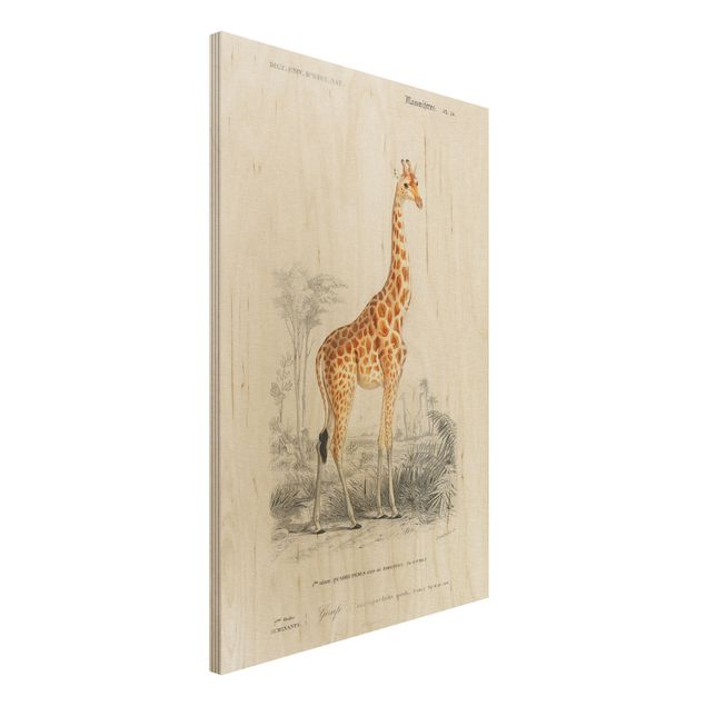 Wanddeko gelb Vintage Lehrtafel Giraffe