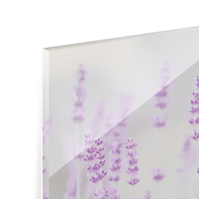 Glasrückwand Küche Blumen Sommer im Lavendelfeld