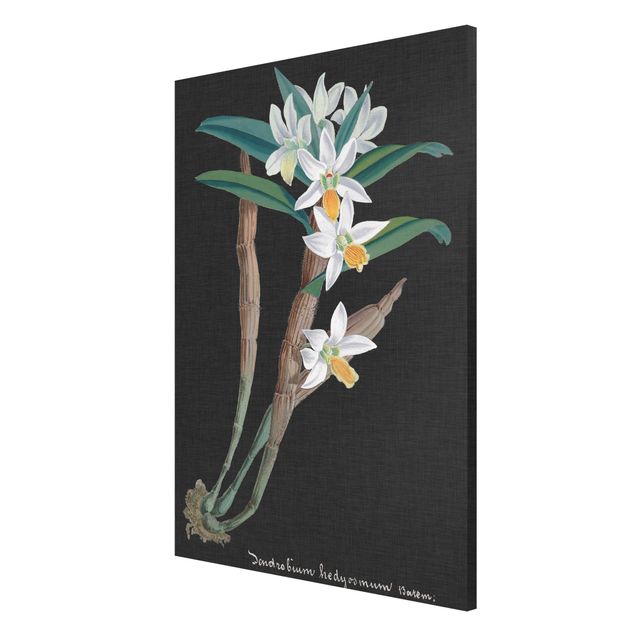 Wanddeko Esszimmer Weiße Orchidee auf Leinen I