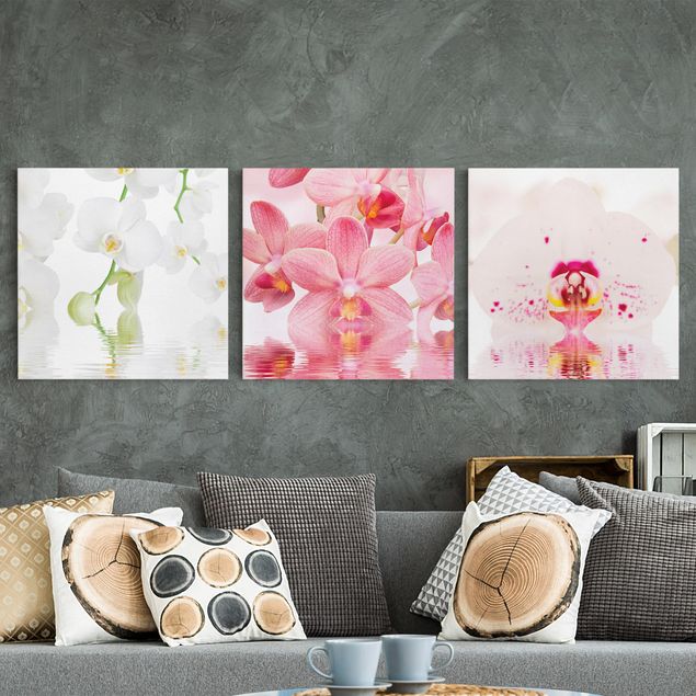 Wandbilder Orchideen Orchideen auf Wasser