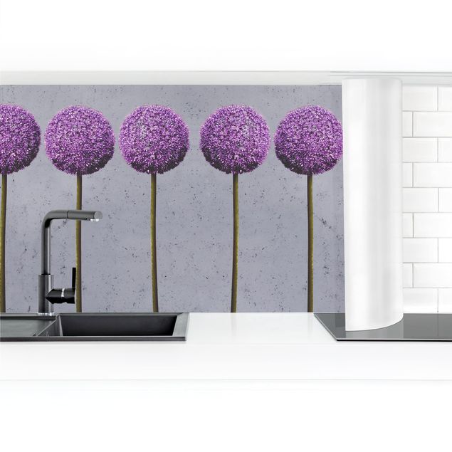 Küchenrückwand Folie Blumen Allium Kugel-Blüten II