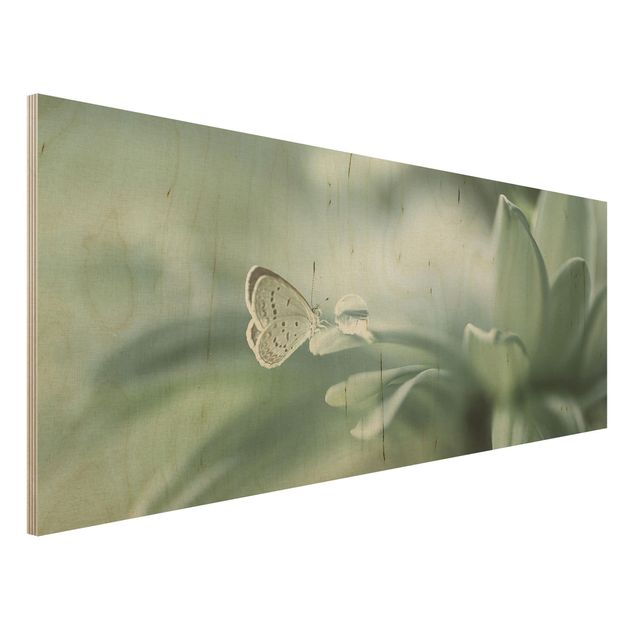 Wanddeko Schlafzimmer Schmetterling und Tautropfen in Pastellgrün
