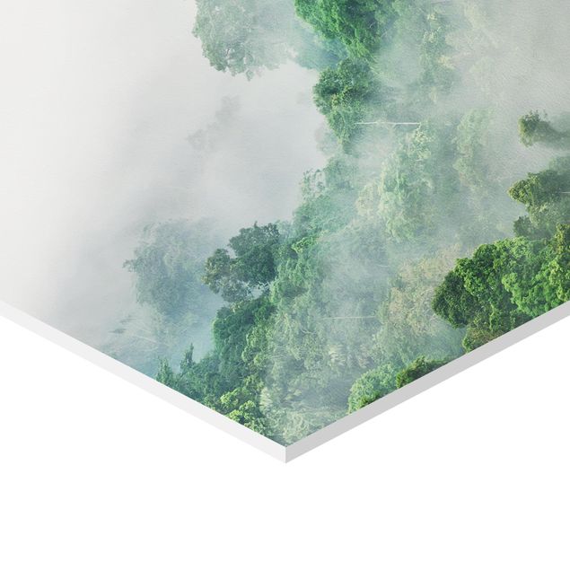 Wanddeko Treppenhaus Dschungel im Nebel