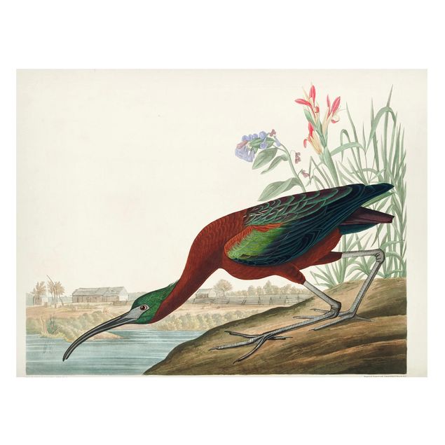 Wanddeko Flur Vintage Lehrtafel Brauner Ibis
