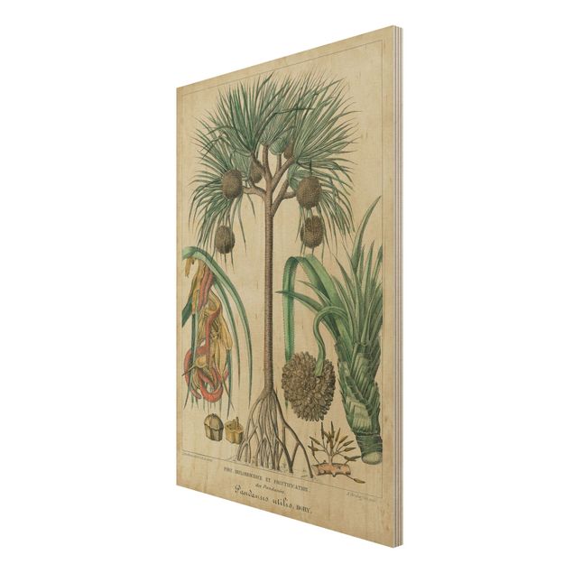 Wanddeko Esszimmer Vintage Lehrtafel Exotische palmen I