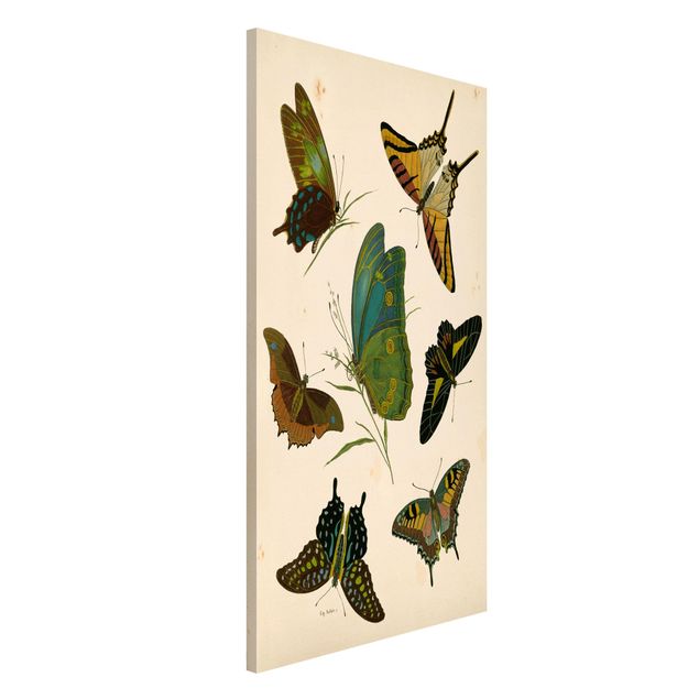 Wanddeko Flur Vintage Illustration Exotische Schmetterlinge