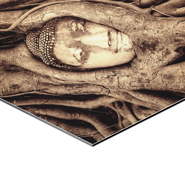 Wanddeko über Sofa Buddha in Ayutthaya von Baumwurzeln gesäumt in Braun