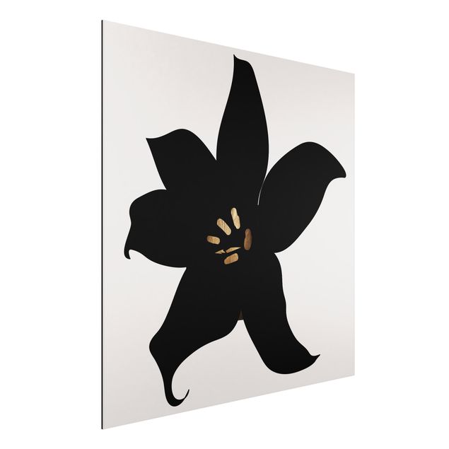 Wandbilder Orchideen Grafische Pflanzenwelt - Orchidee Schwarz und Gold