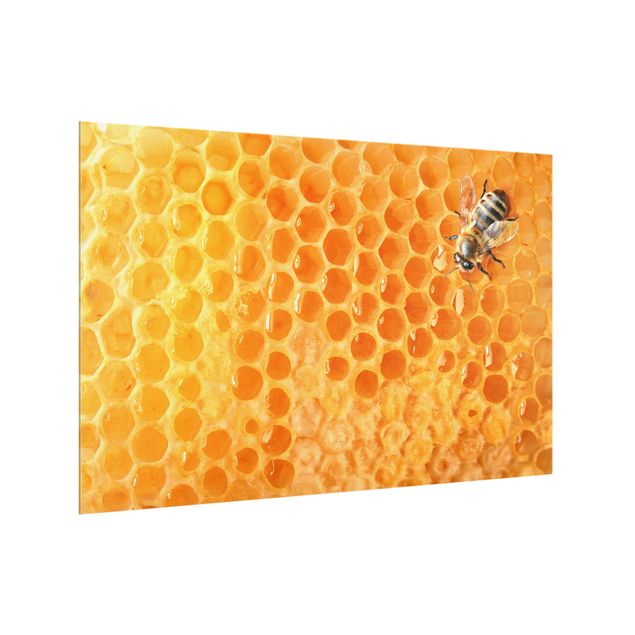 Spritzschutz Glas - Honey Bee - Querformat - 3:2