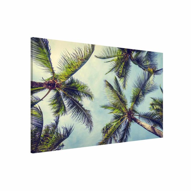 Wanddeko Flur Die Palmen
