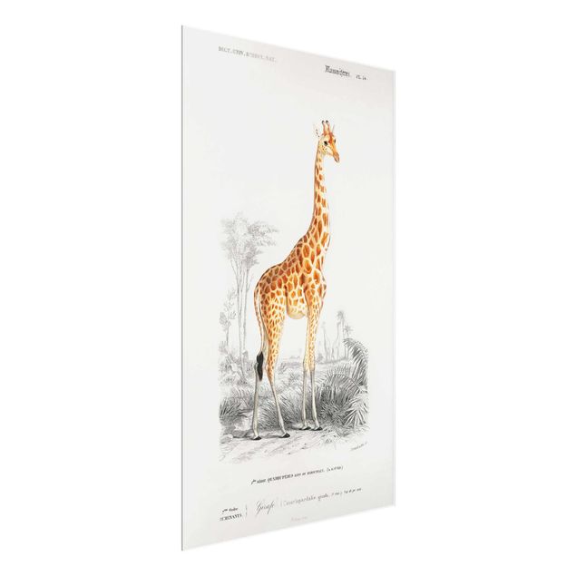 Wanddeko Flur Vintage Lehrtafel Giraffe