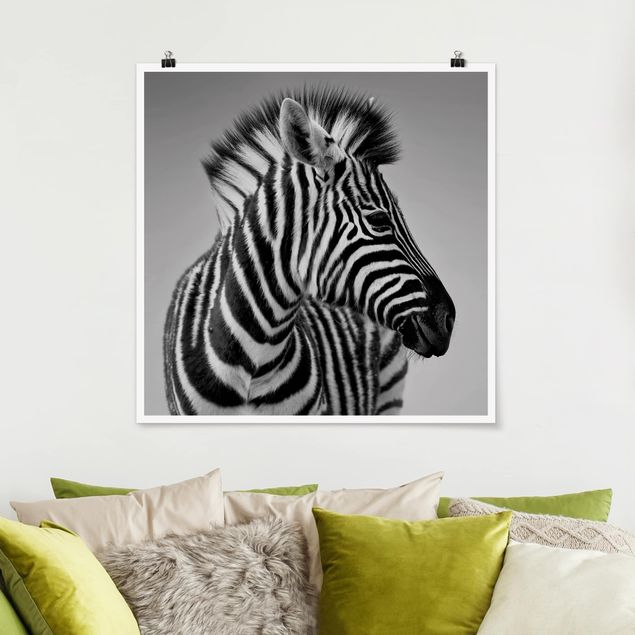 Wanddeko Wohnzimmer Zebra Baby Portrait II