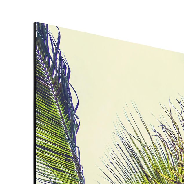 Wanddeko Büro Die Palmen