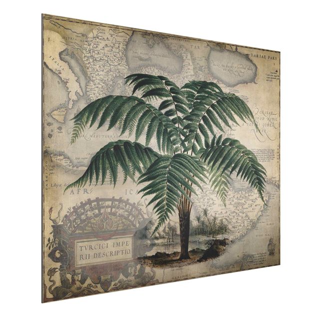 Wanddeko Schlafzimmer Vintage Collage - Palme und Weltkarte