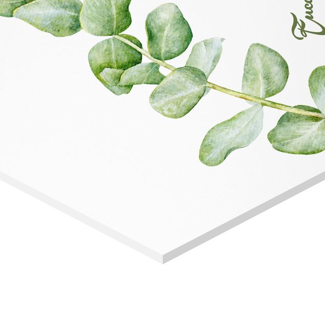 Wanddeko über Bett Aquarell Botanik Eukalyptus