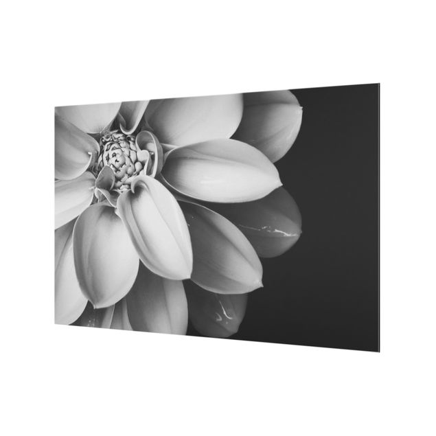 Glasrückwand Küche Blumen Im Herzen einer Dahlie Schwarz-Weiß
