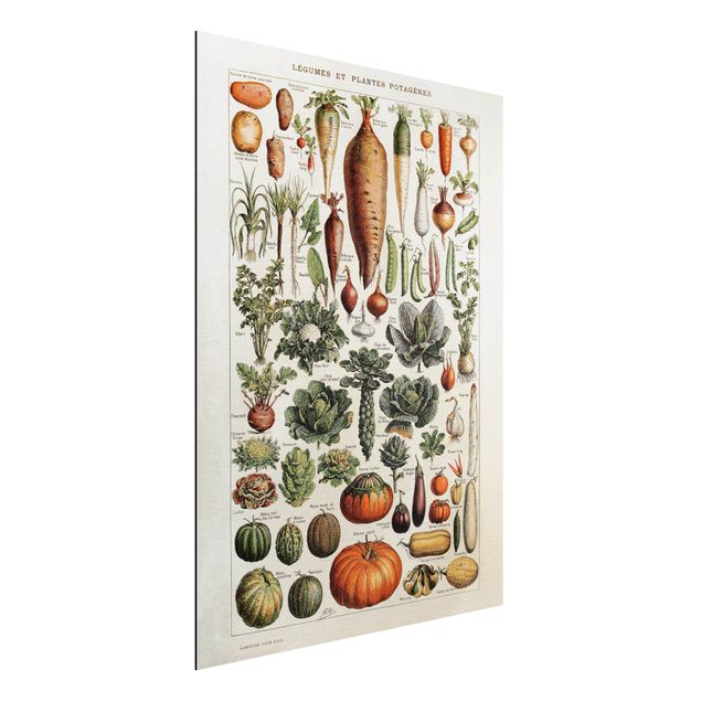 Küchen Deko Vintage Lehrtafel Gemüse