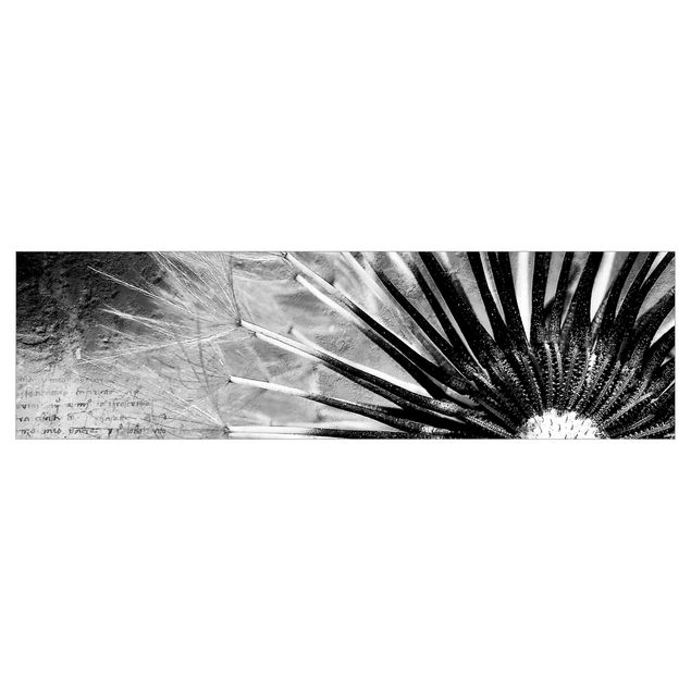 selbstklebende Klebefolie Pusteblume Schwarz & Weiß