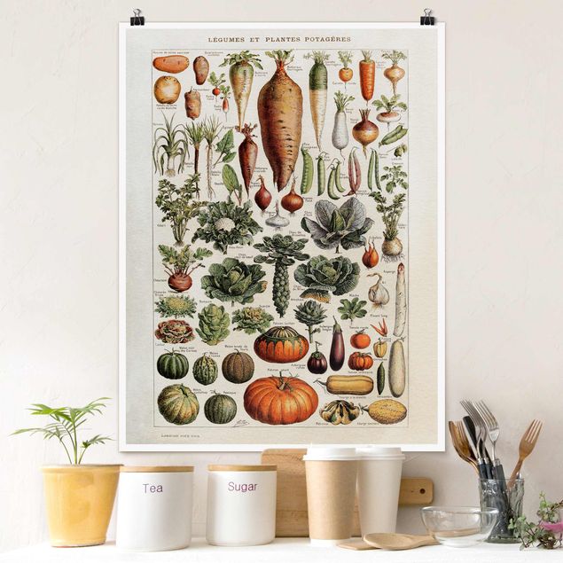 Wanddeko Küche Vintage Lehrtafel Gemüse